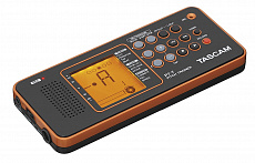 Tascam PT-7 электронный репетитор/тюнер для вокалистов и акустических инструментов